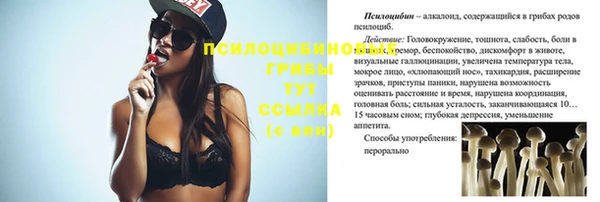 прущая мука Ладушкин